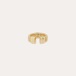 Bague Strada Jonc - Cornaline & Oeil de tigre